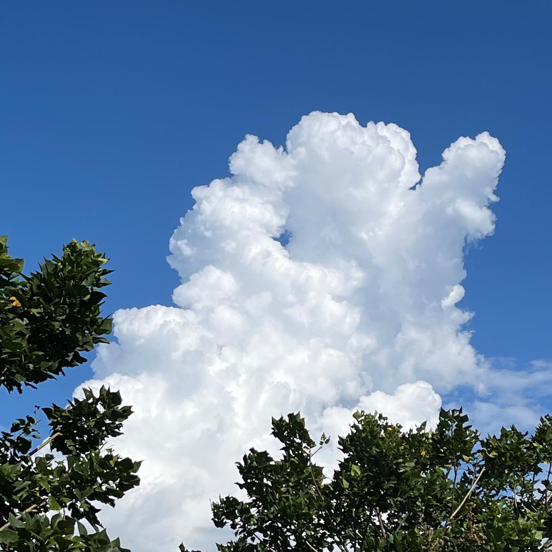 甜崽小君爱冒险