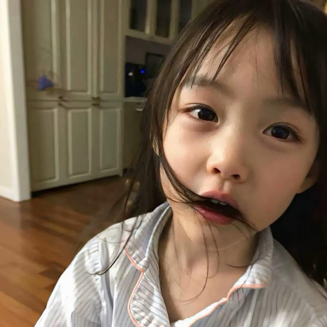 不是菜狗