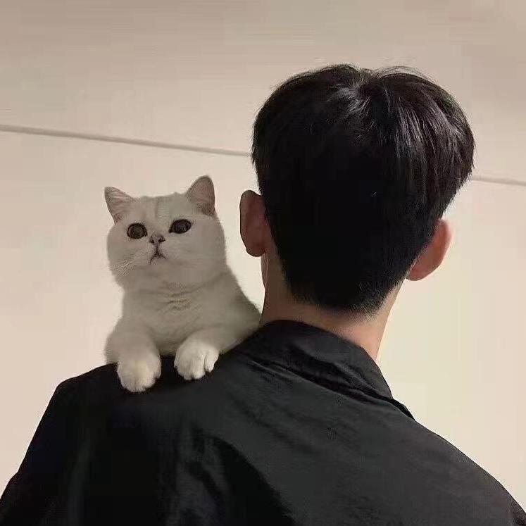 阿东哥哥