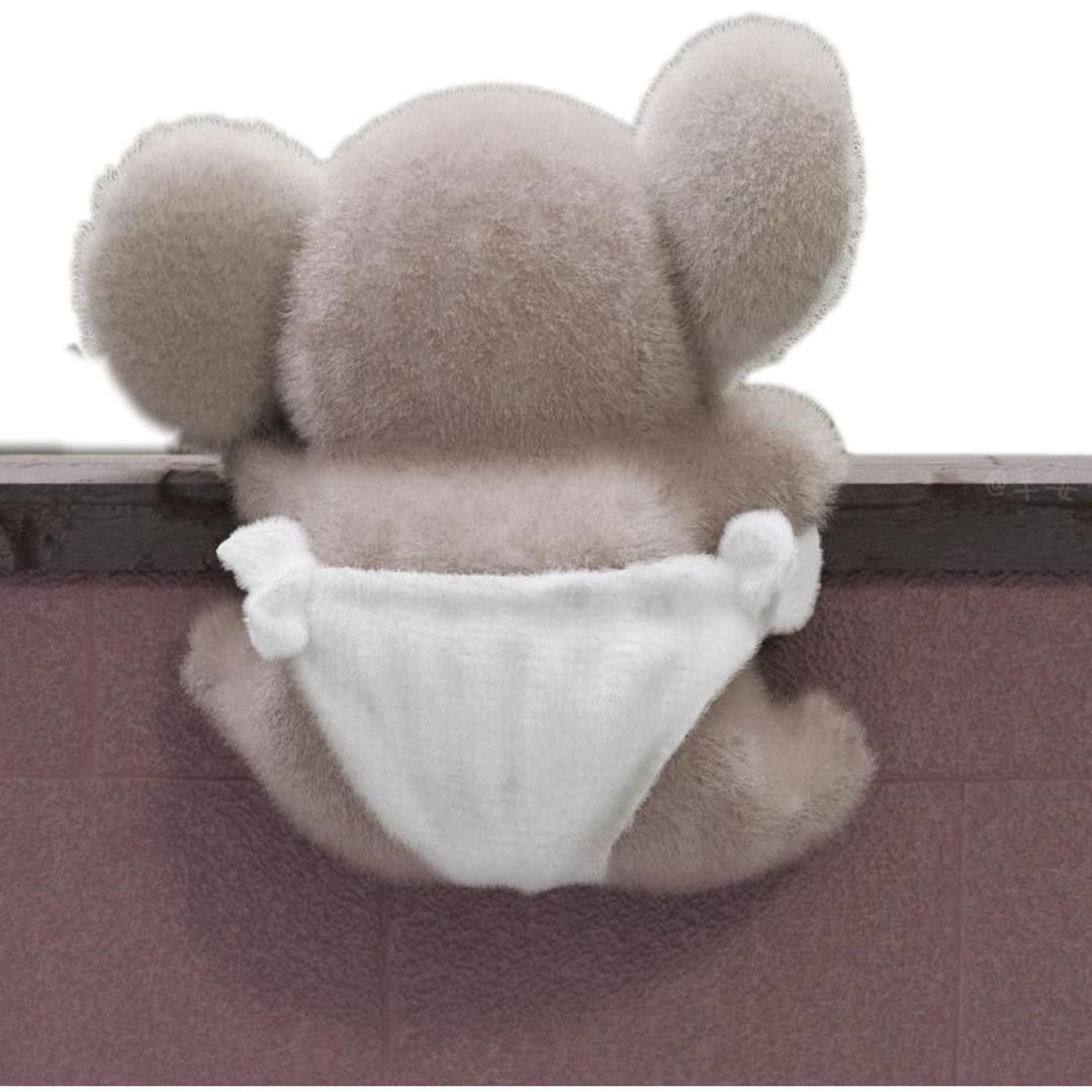 聪明瓜