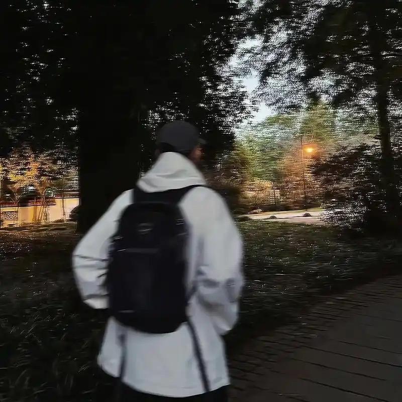 Cc不动