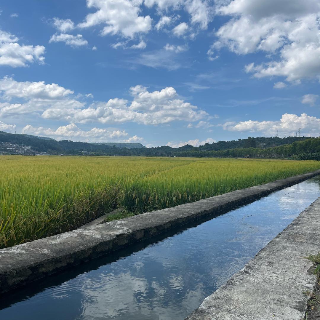 锅巴流浪地球