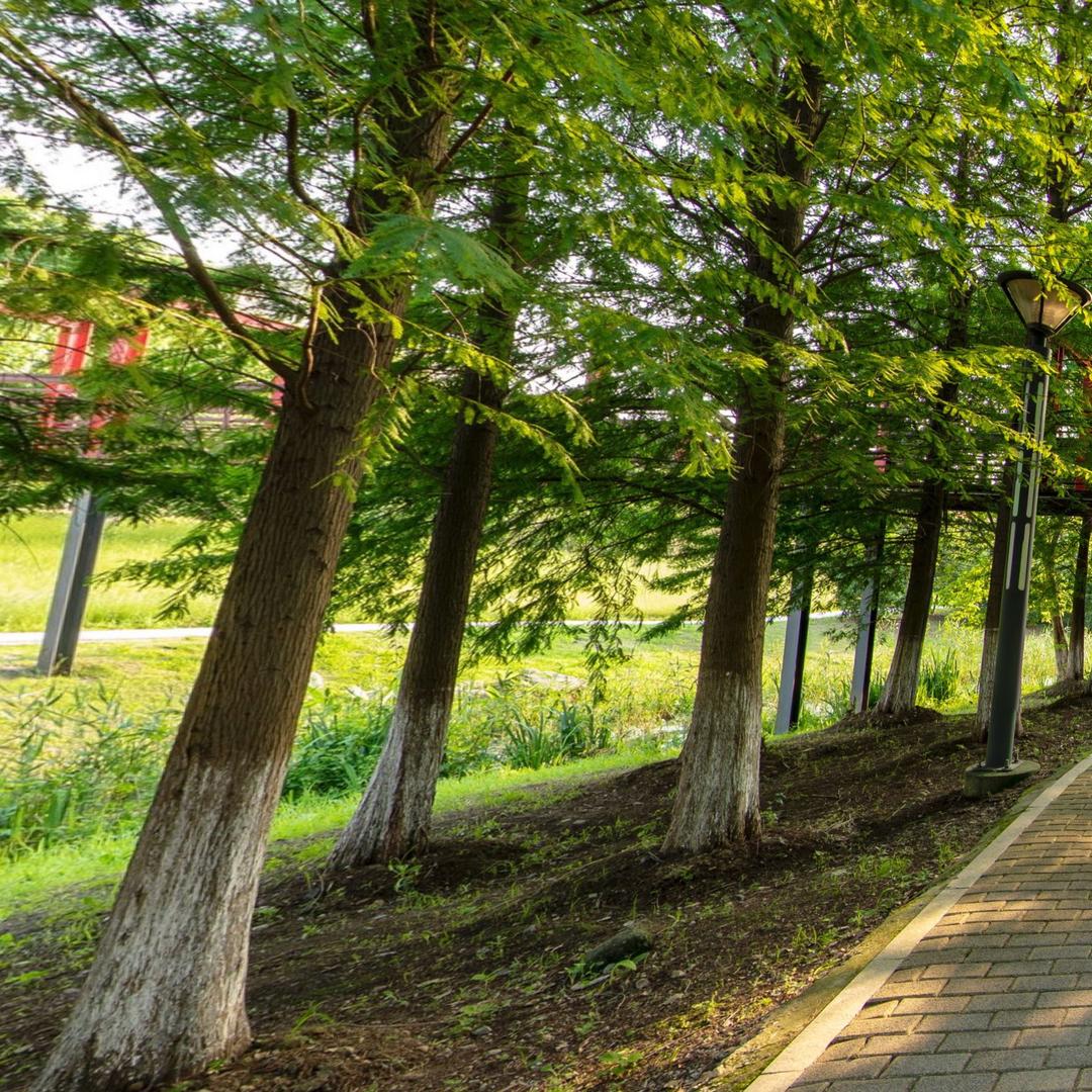 19岁大学生麦基
