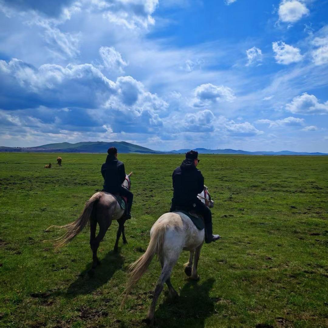 自由诗（旅游定制）