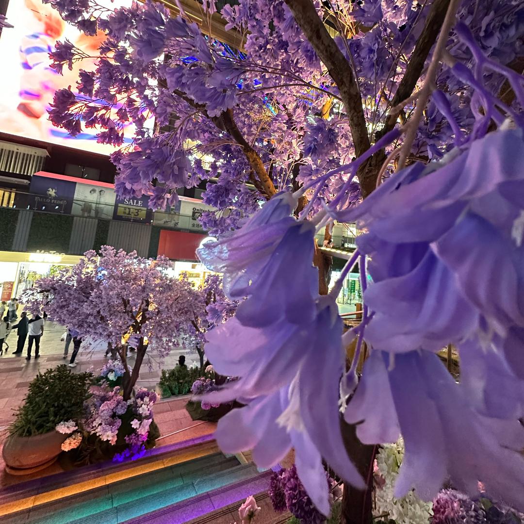 💞ღ.李ꦿ⁵²º