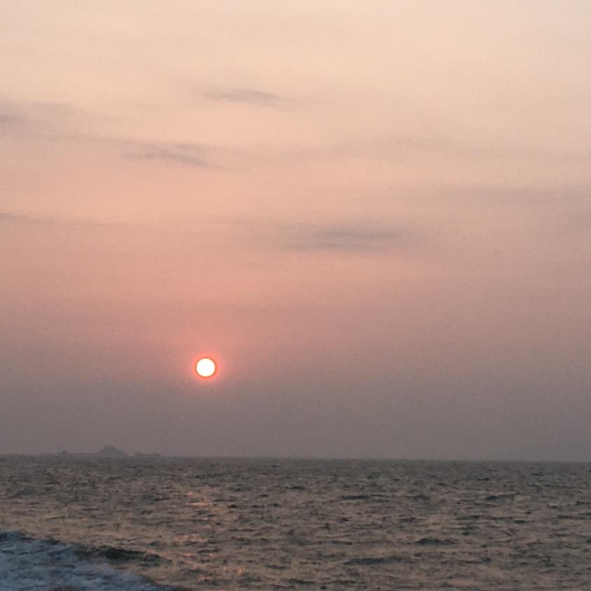 革命小酒天天有