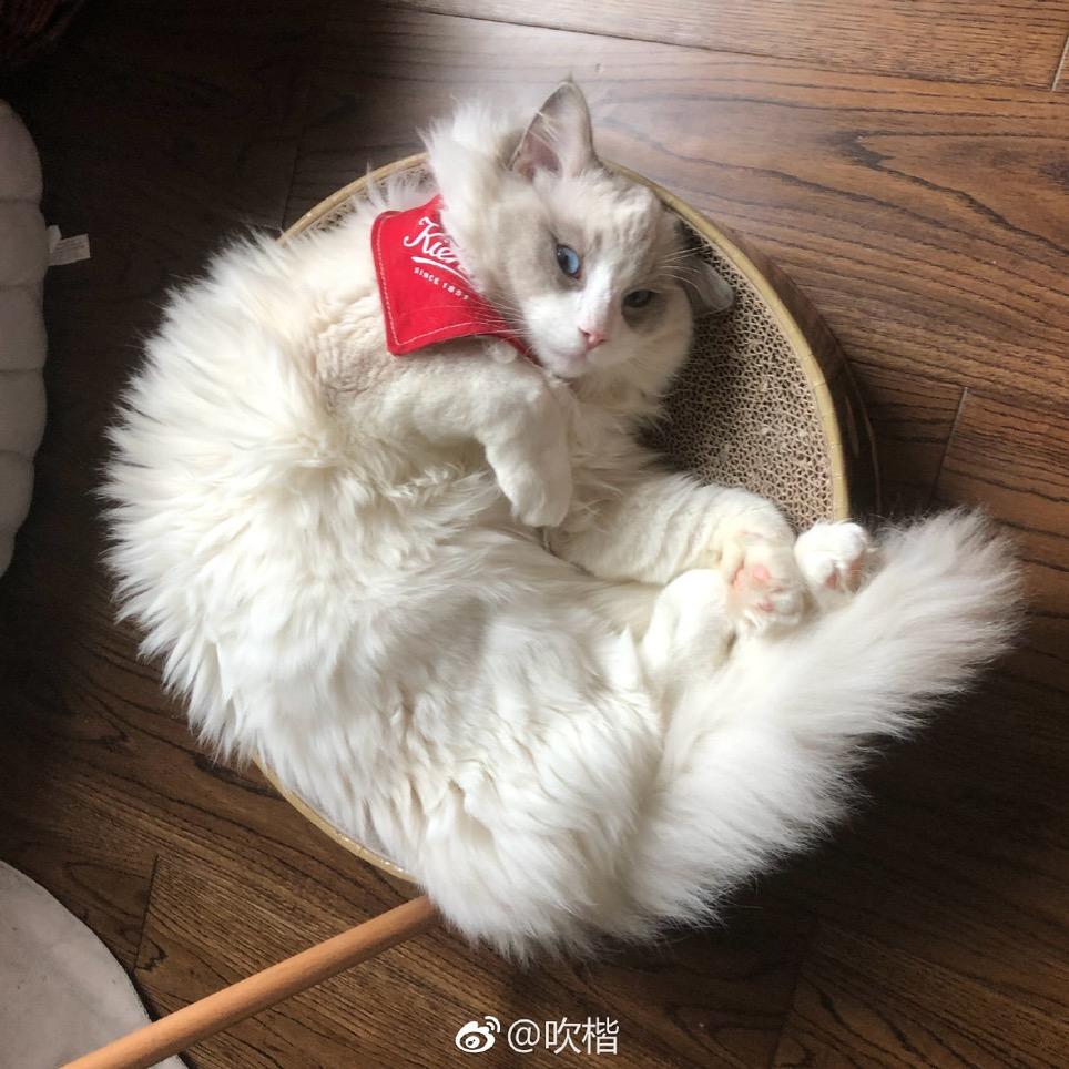 方冰糖