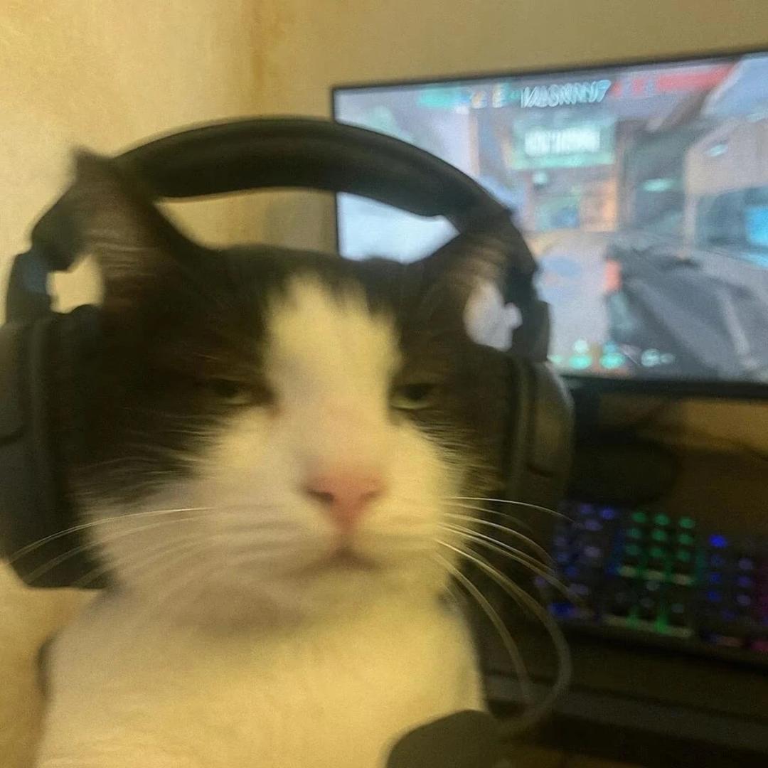 cccc.