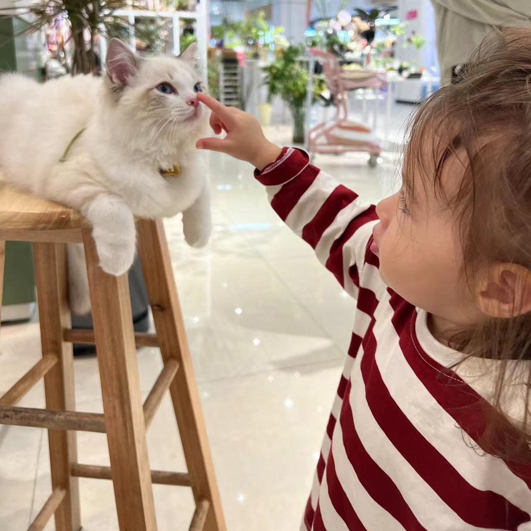 小妞妞