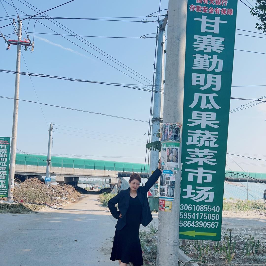 代收瓜果蔬菜（李少霞）