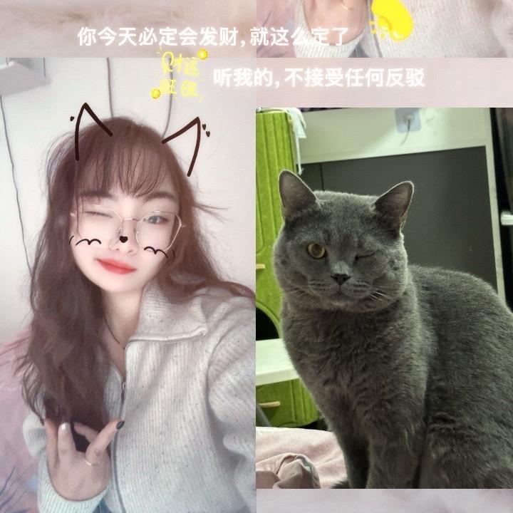 狐狸已曾经💦💦