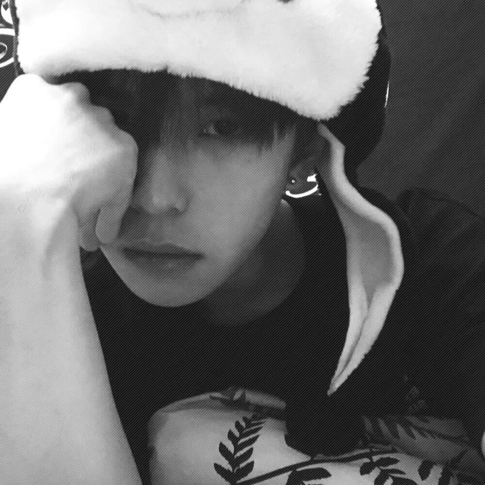 ㅤㅤㅤㅤㅤㅤㅤㅤㅤ      ㅤ小灰灰