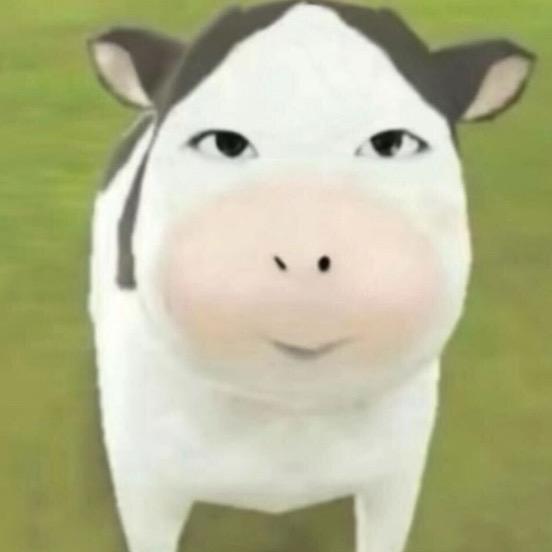 少tm装