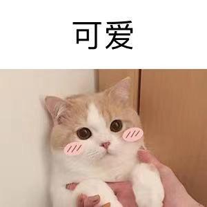 苏秦