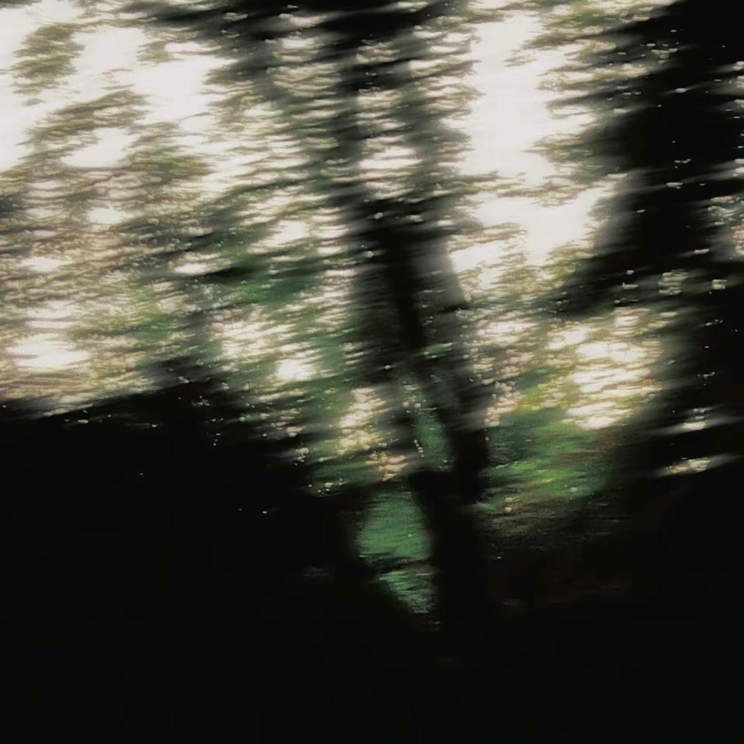 脏脏