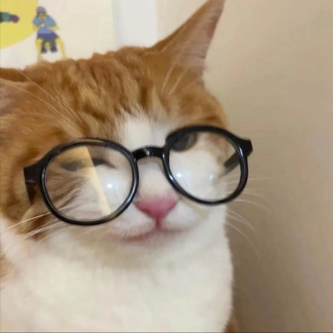 屁ig