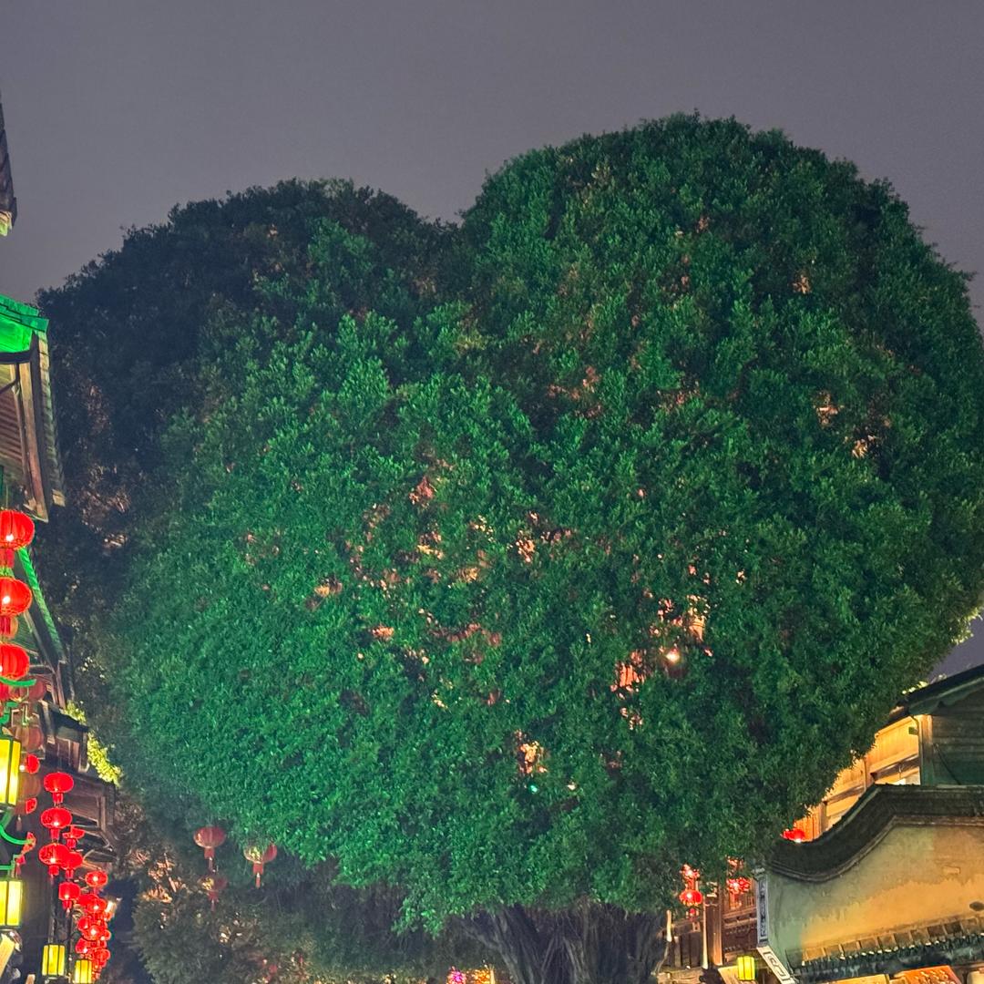 我家老公