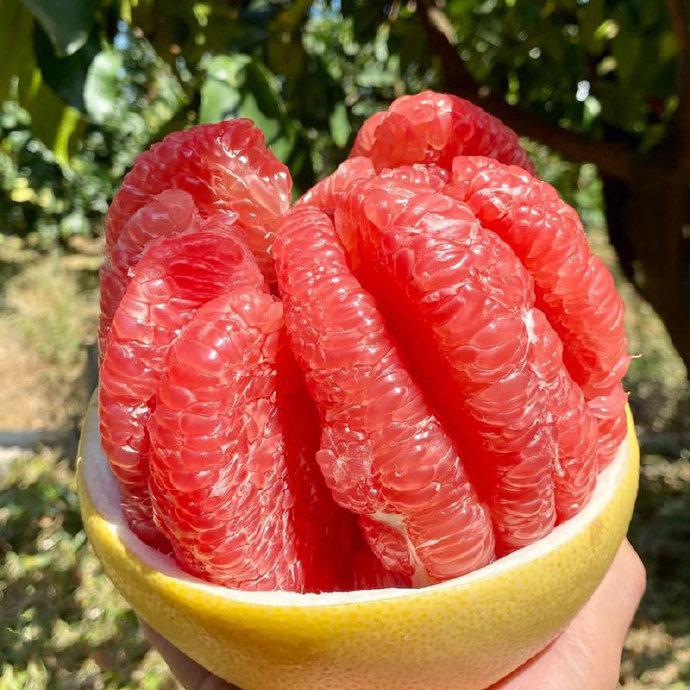 平和蜜柚总仓