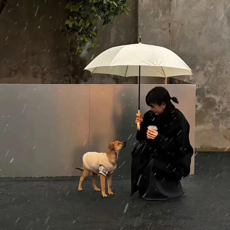 ♡ 一甫十寸