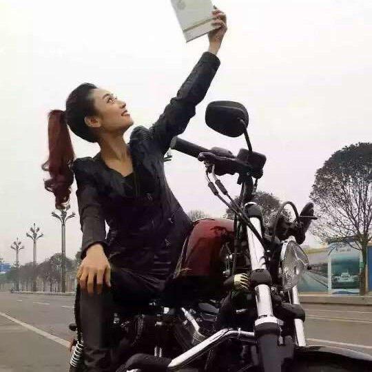 爱飞的鸟