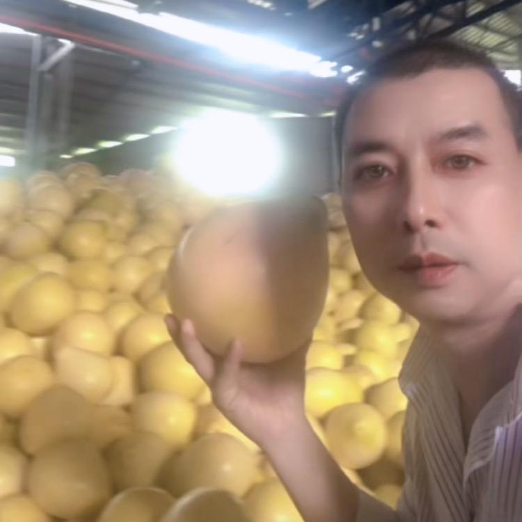 小伍哥