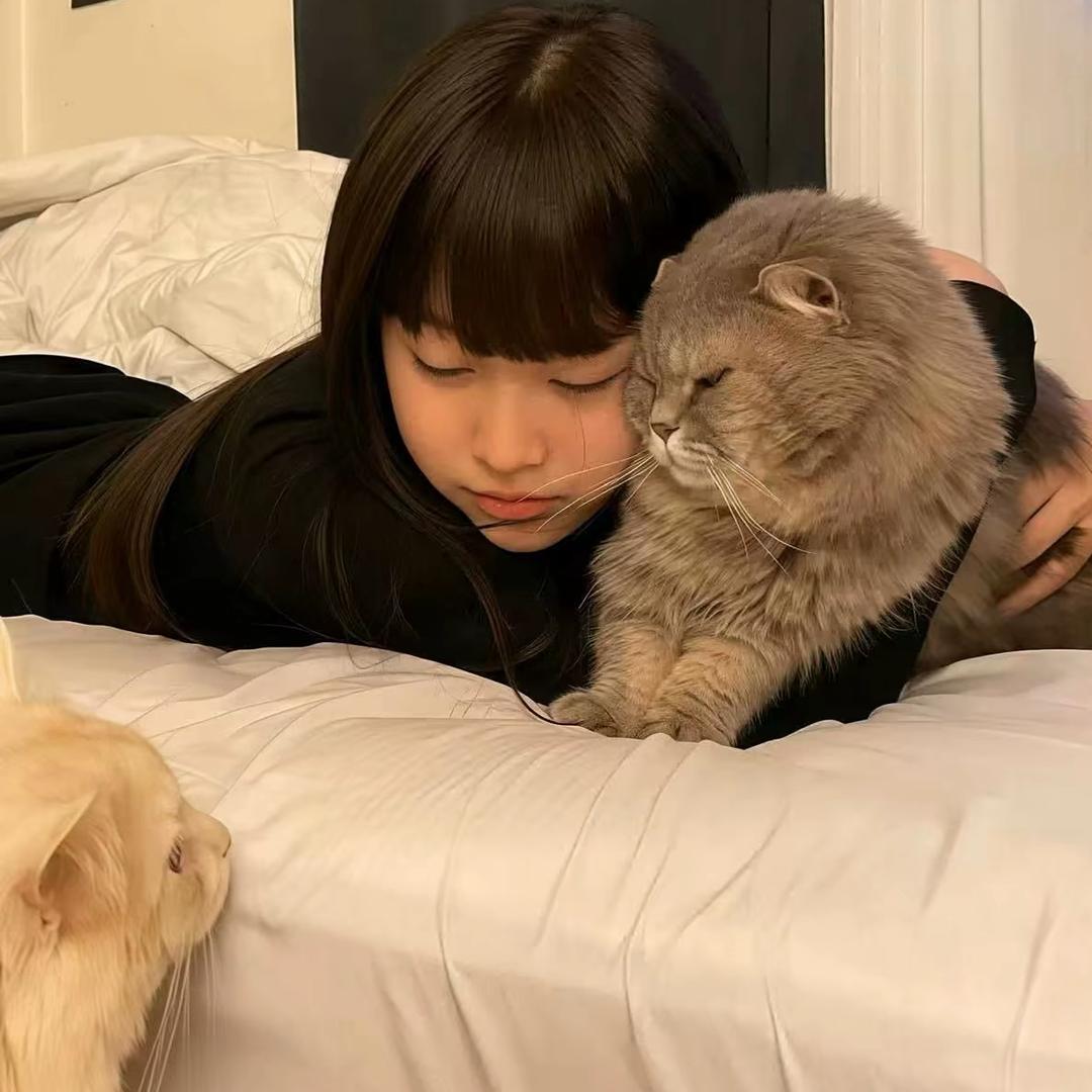 小懒羊