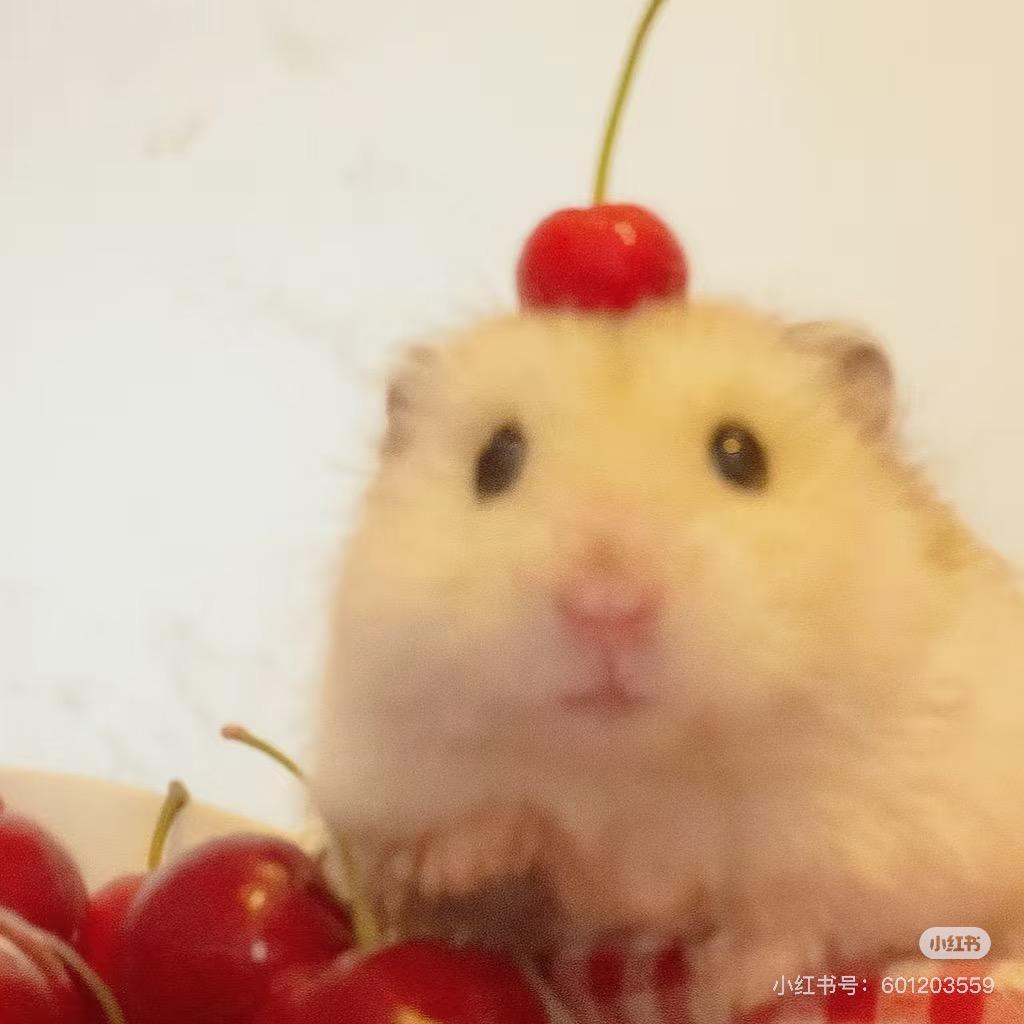 Joyceyy