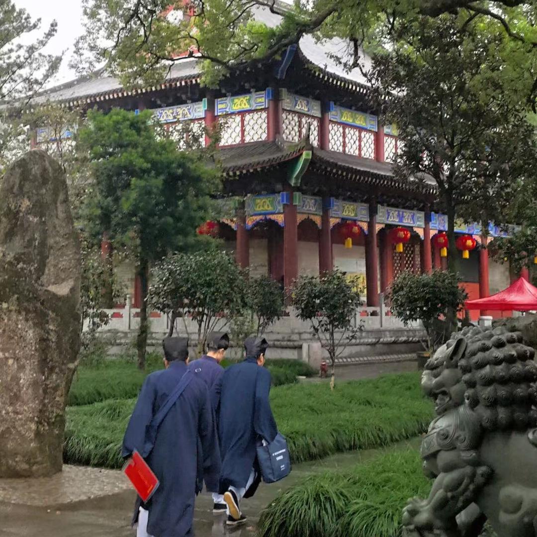 善德师兄 观5天内合🈴️好