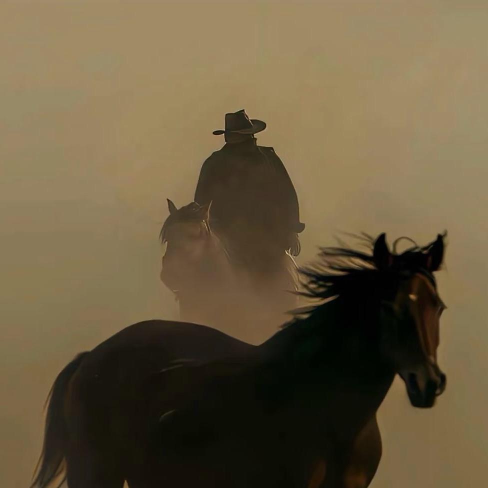 老杨哆哆爆款分享