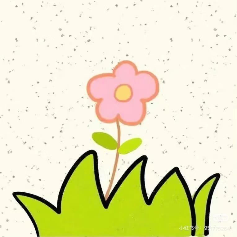 莱米植物日记💚