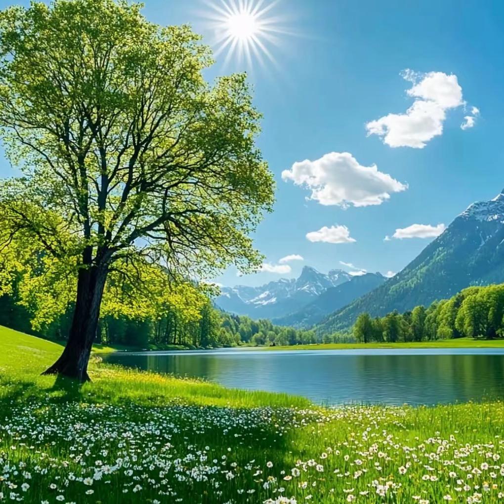 国货养生品牌工厂店