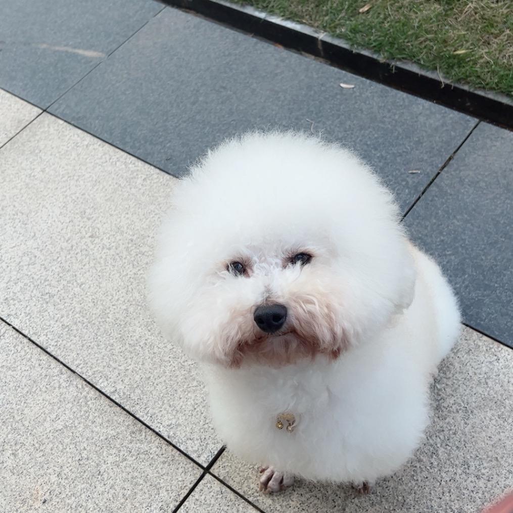 小不点一枚