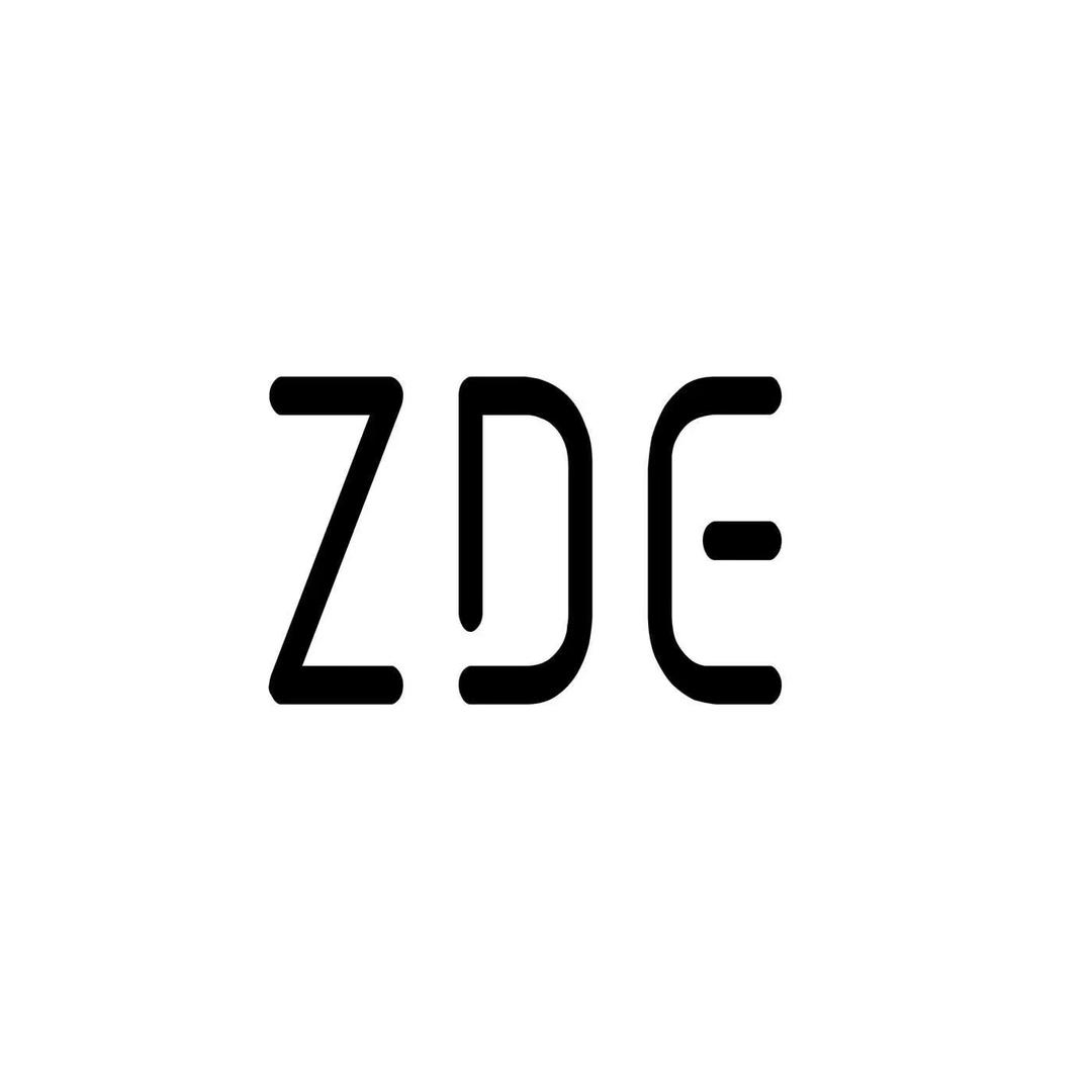 ZDE企业店