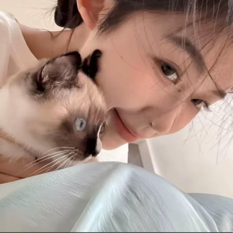 Q宝.