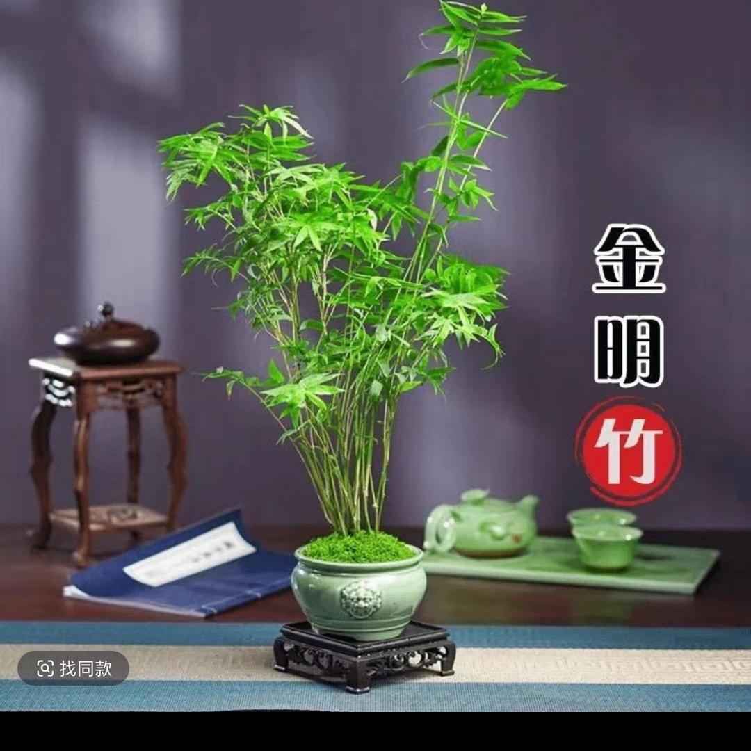 花美➱甄选优品