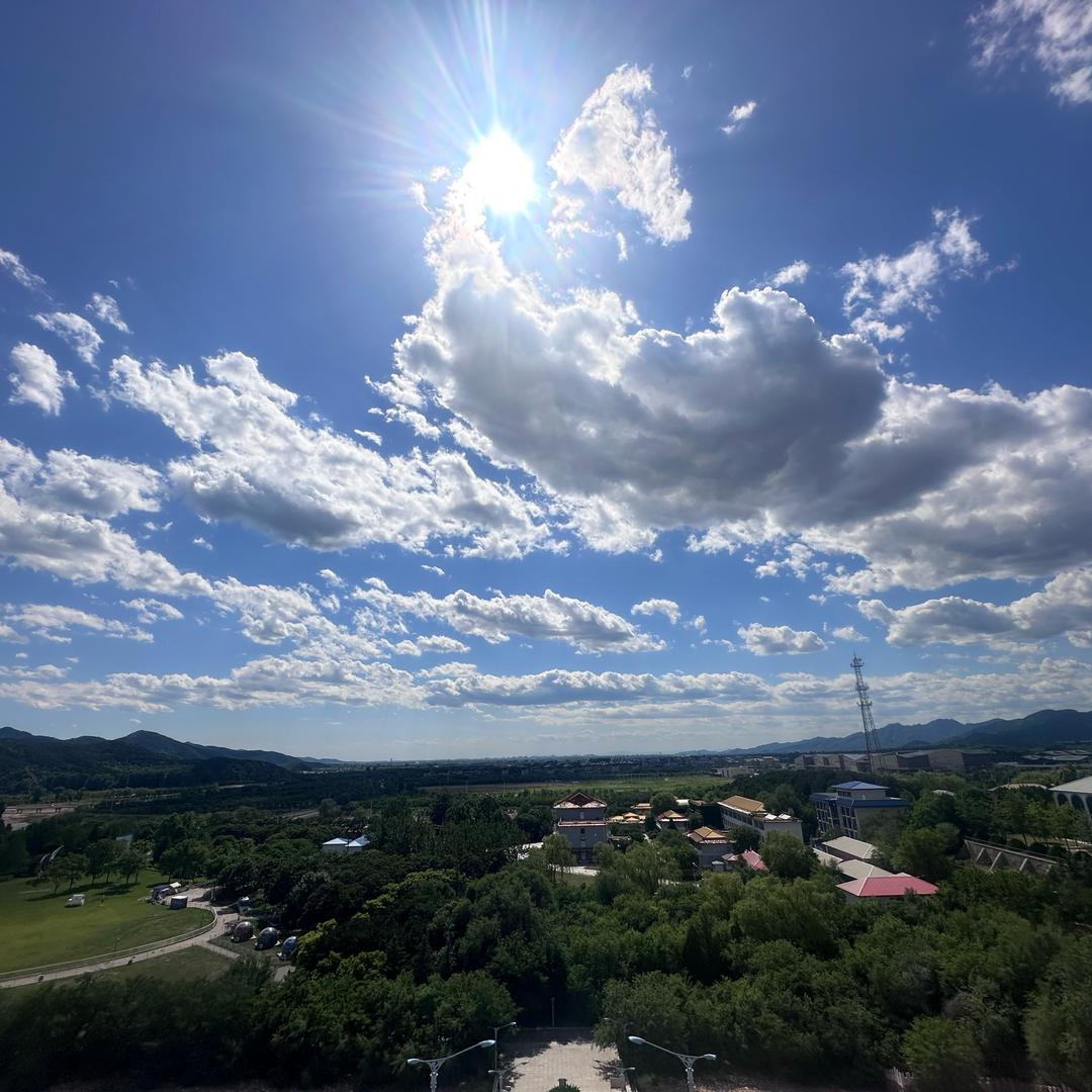 杜同学