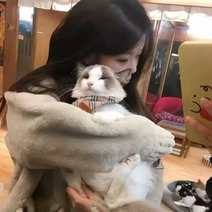 景妙萌界一把刀^