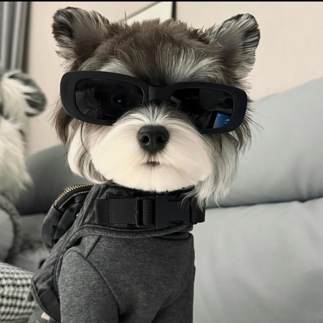 Dlctator