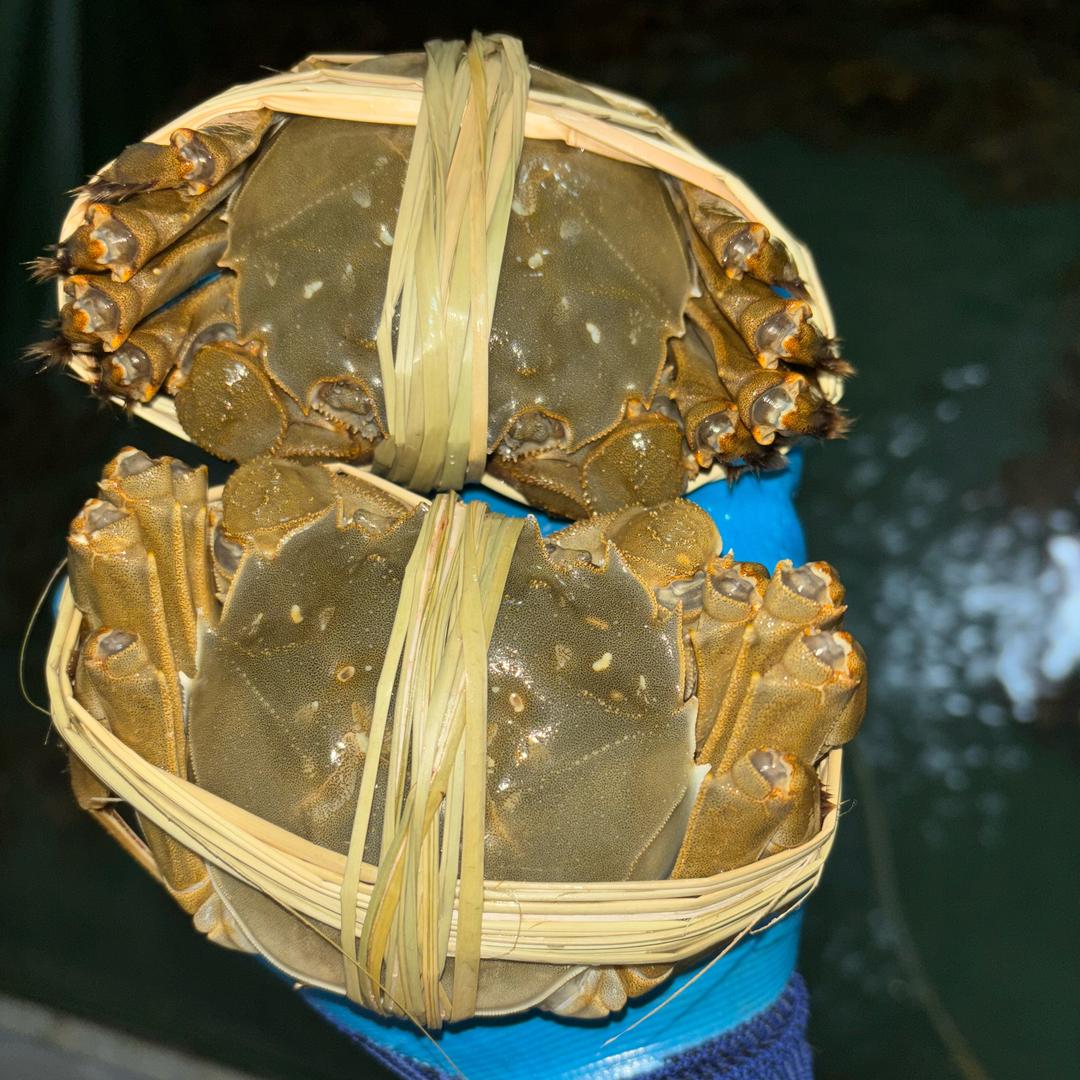 小超哥🦀