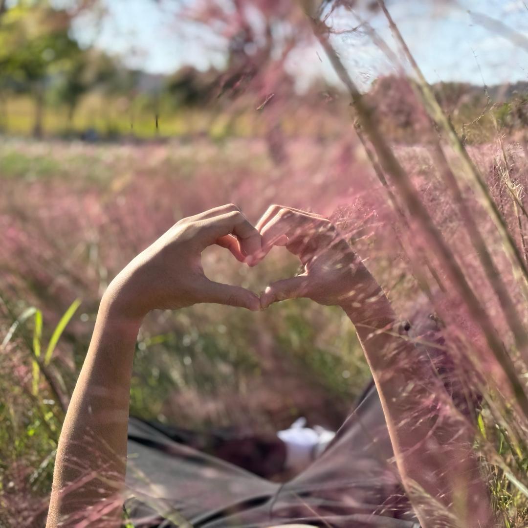 我家拉布拉多不会后空翻