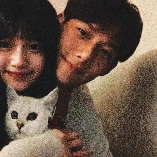 妙.