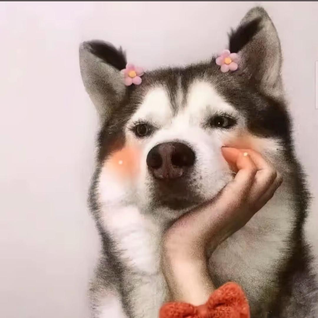 我是网红