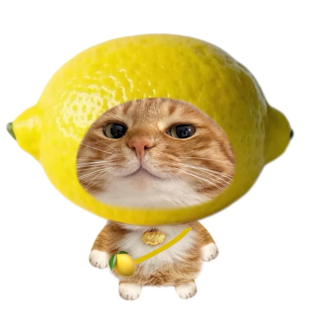 NONGNONG.