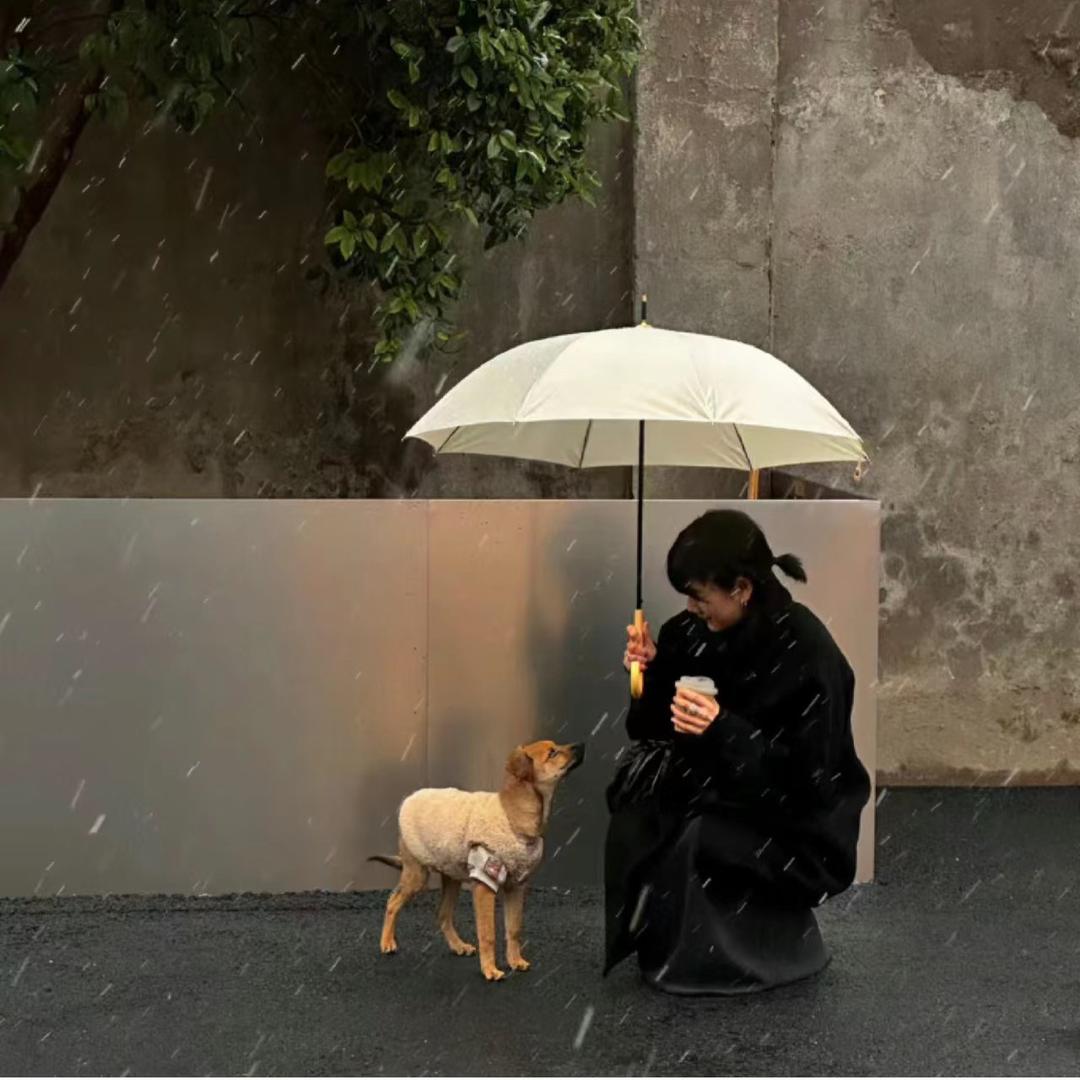 乐天派