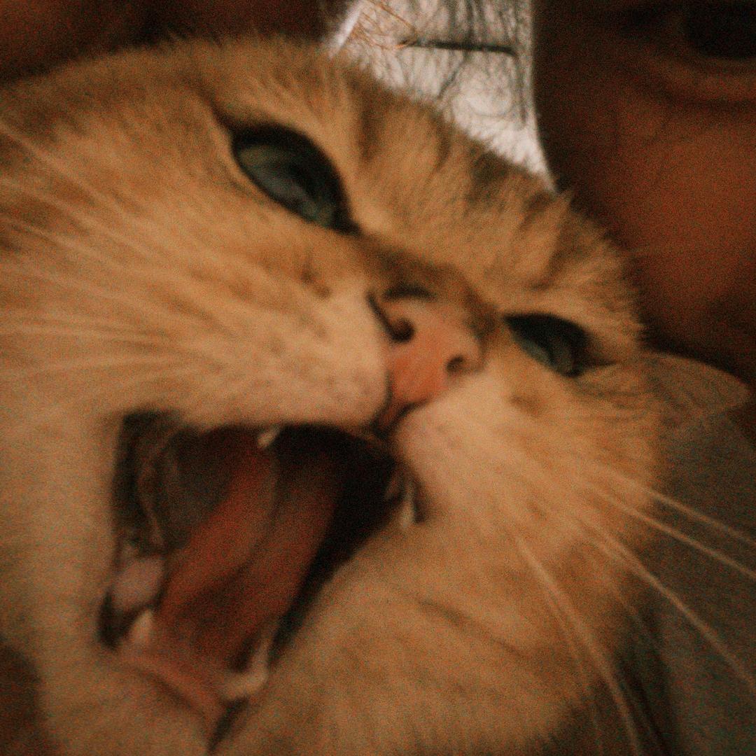 小杜的国画课堂