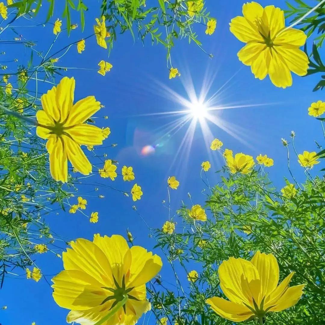 洁美佳拖把工厂