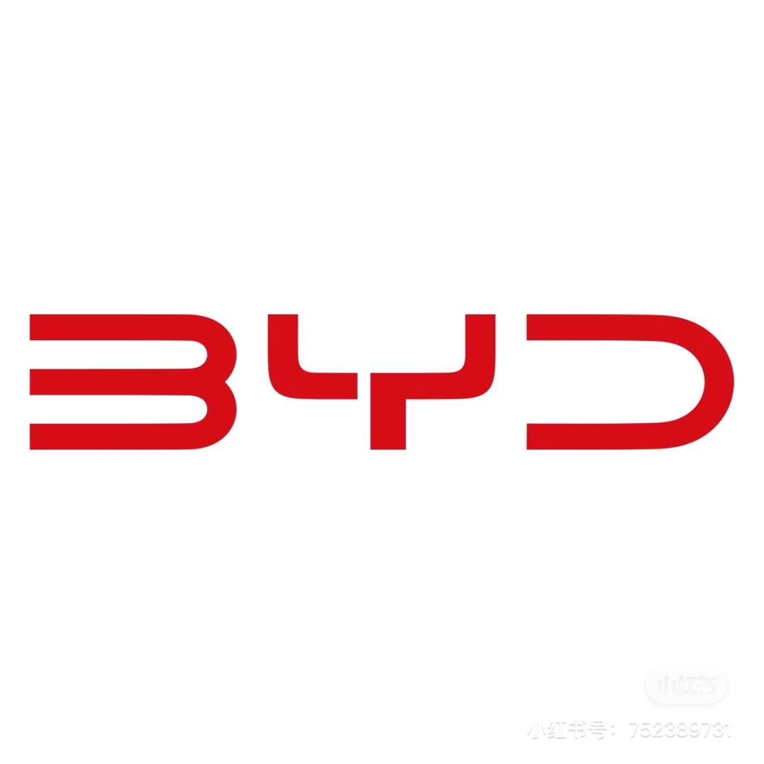 BYD CARS