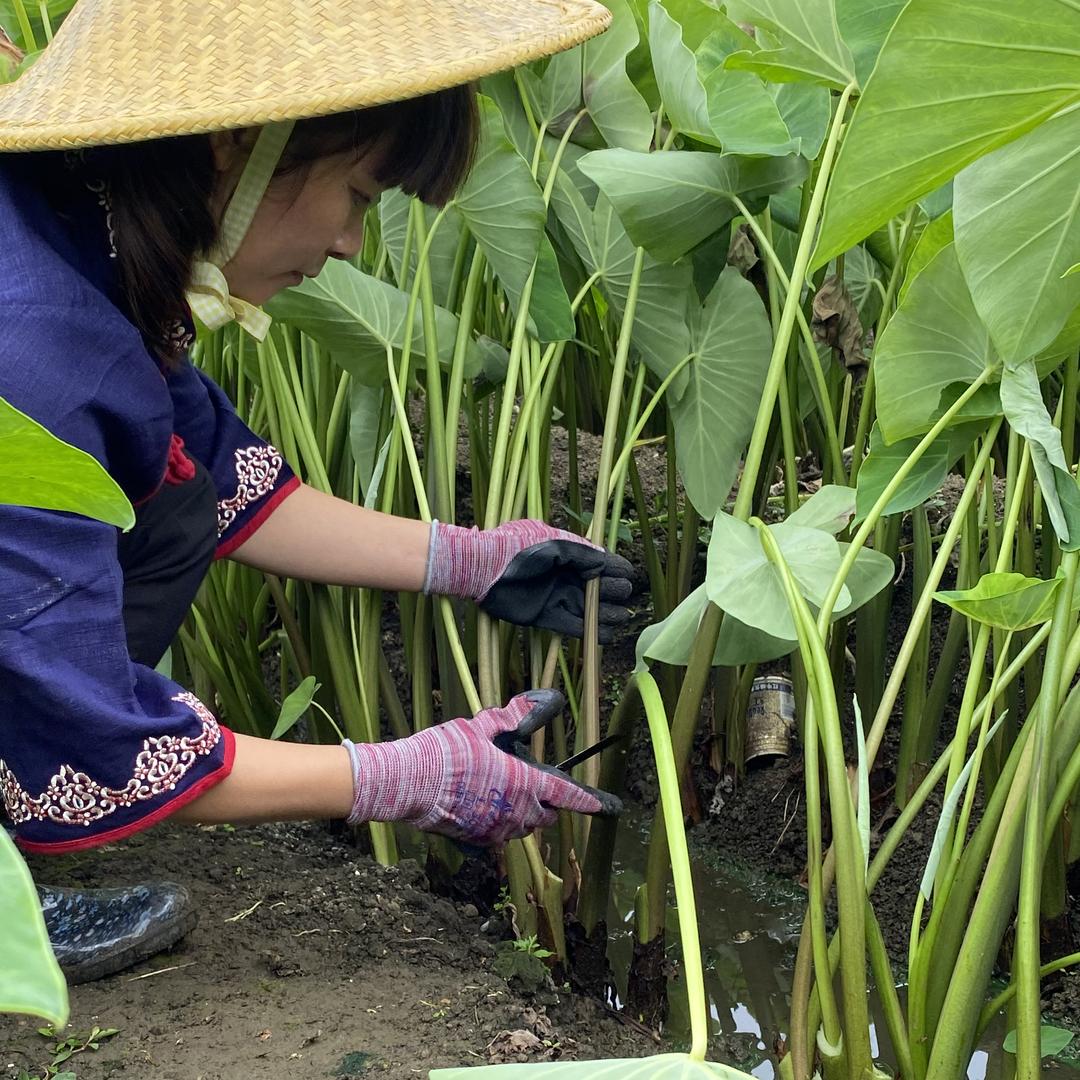 和美芬姐食品