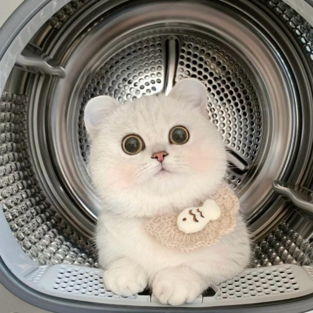 慕涯