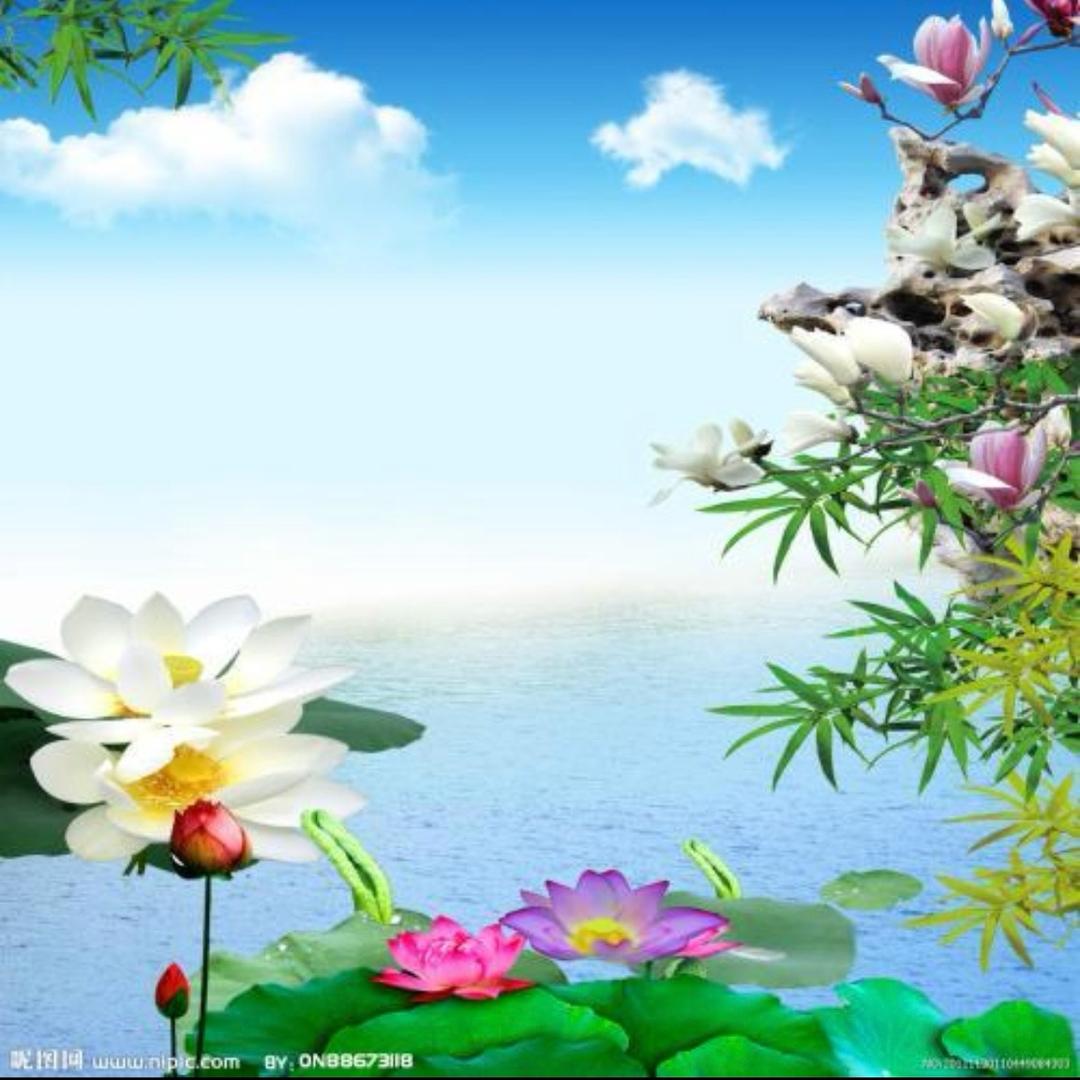 🇨🇳流年似繁华🇨🇳